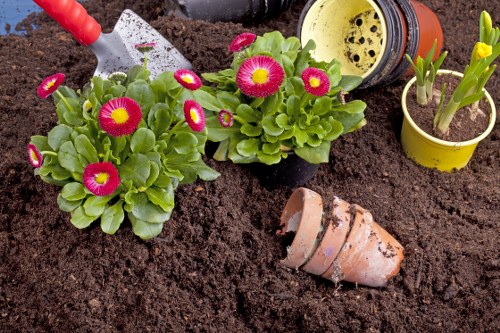 Community gardeners sorting green waste at a compostable materials station