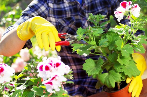 Company representative reviewing a garden site