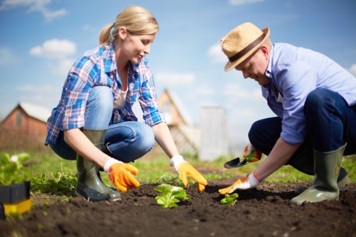 Gardener assessing a site for hazards before work
